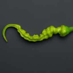 Green Horn Shape Hot Pepper Seeds