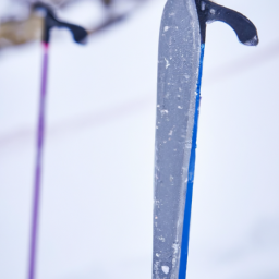 Racing Ski Pole