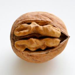 chinese highly nutritive walnut in shell