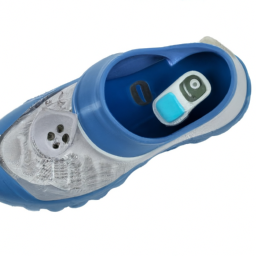 shoe pedometer