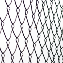 dutch wire mesh 