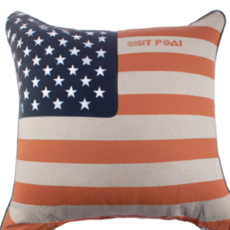 Heating Pad Pillow for USA