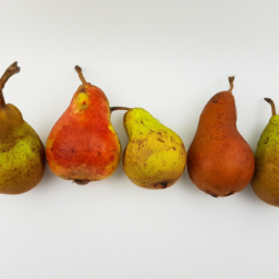 Types of Pear