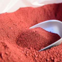 High Quality Cranberry Powder for Sale