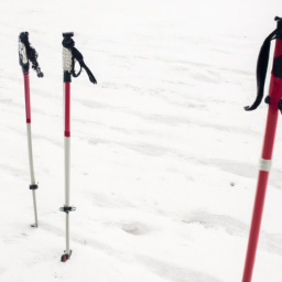 Ski Poles