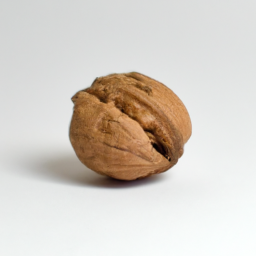 thin shell walnut