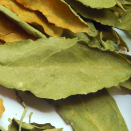 Dried Houba Leaves