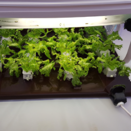 Hydroponic Green Fodding Machine