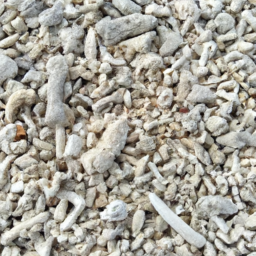 what is coral sand used for