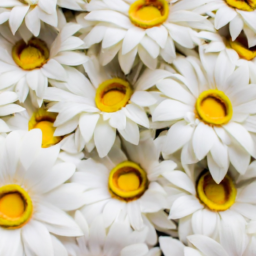 artificial daisies bulk