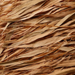 Dried Bamboo Leaves For Sushi Product