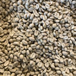 buy green coffee bean extract los angeles