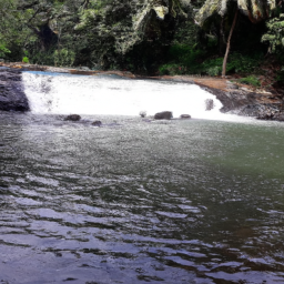 മോഡിയുടെ അമ്മ