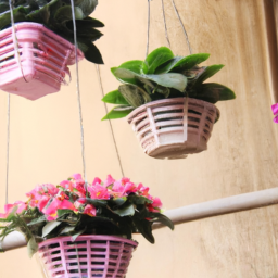 plastic hanging baskets with flowers