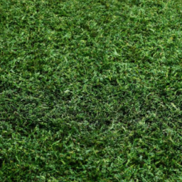 polyurethane backed artificial grass