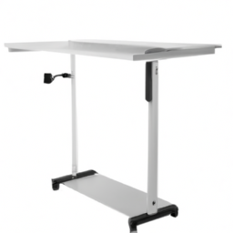 standing desk electric white