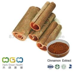 Natural Plant Extract Cinnamon Powder with Good Smell for Men's Health and Anti-Oxidation