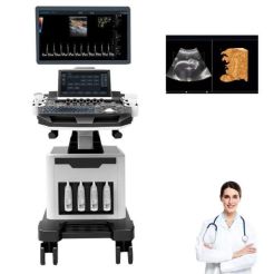 Factory Price Ultrasound Machine Color Doppler 3D 4D