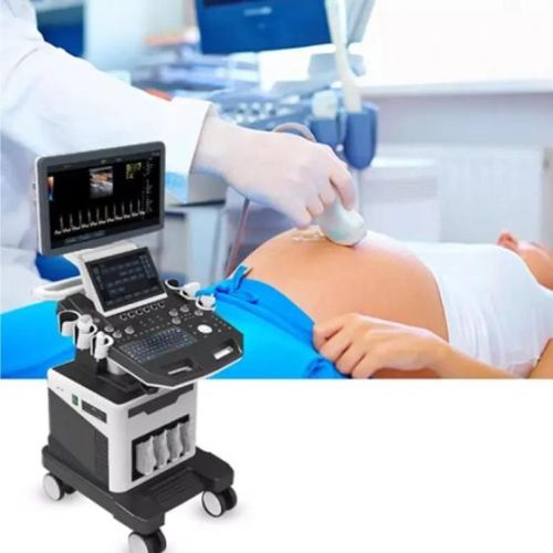 Factory Price Ultrasound Machine Color Doppler 3D 4D