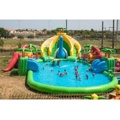 Large Inflatable Water Slides, Inflatable Dual Lane Slides