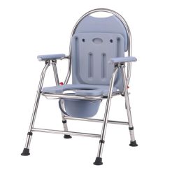 Potty Chair