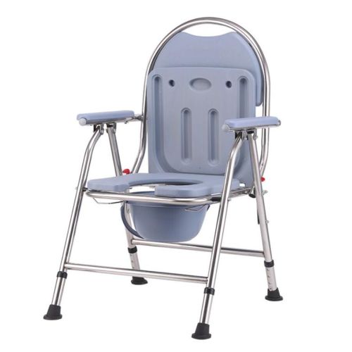 Potty Chair