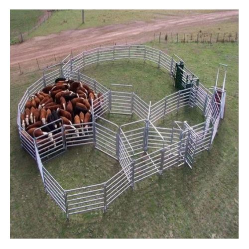 Cattle Fence &amp; Sheep Fence