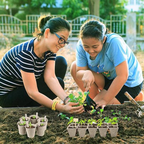 Biodegradable Seed Starter Trays