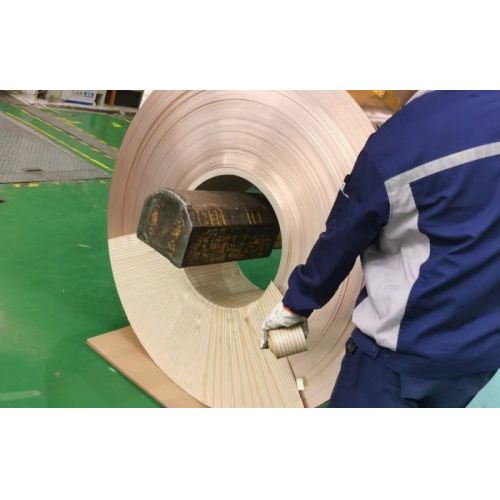 Copper Clad Steel Coil