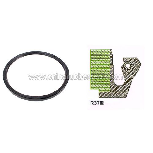 R37 Rubber Fabric Oil Seals   