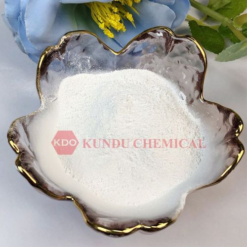 Hydroxy Ethyl Cellulose (HEC)