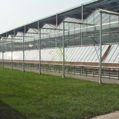 Tomato Greenhouse