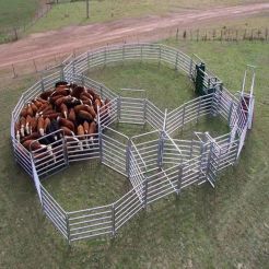 Cattle Fence &amp; Sheep Fence