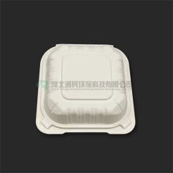 1000ml Disposable Burger Boxes TQ-HB02